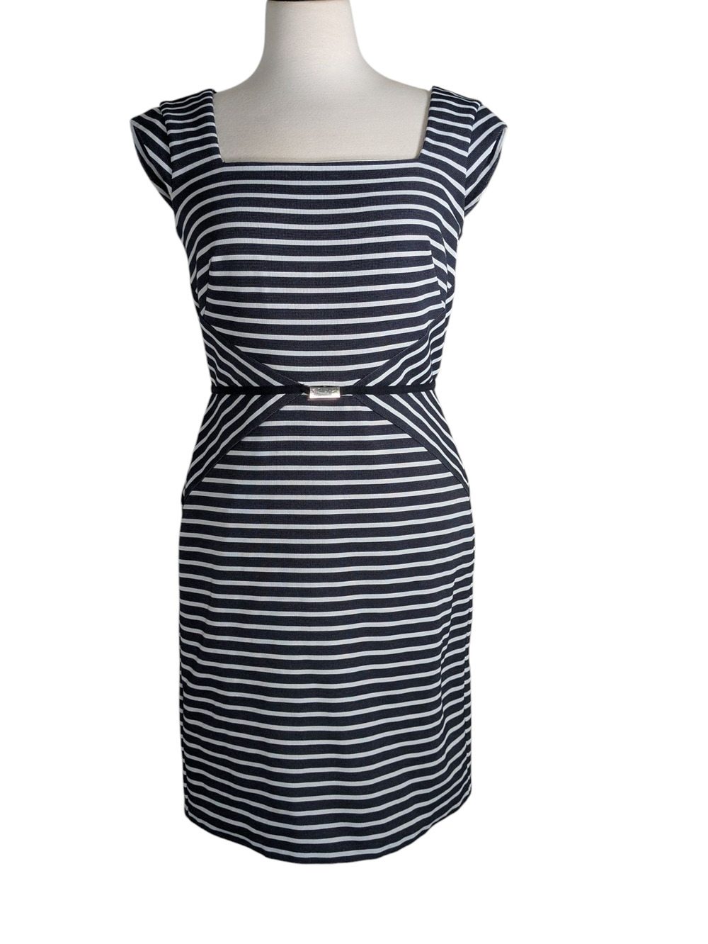Ann Taylor Size 6 Navy Blue and White Strip Sheath Dress Cap Sleeve Back Zip